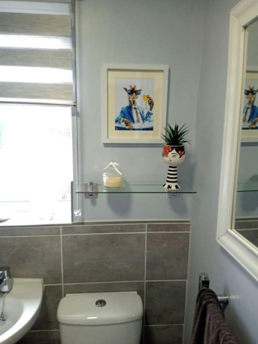 Ludlow Mews Town House With Free Parking Екстер'єр фото